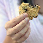Coconut Chocolate Chip Cookies